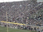 The Crowd doing the Wave at the Notre Dame game